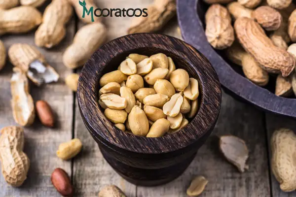 خواص بادام زمینی برای استخوان چیست؟
